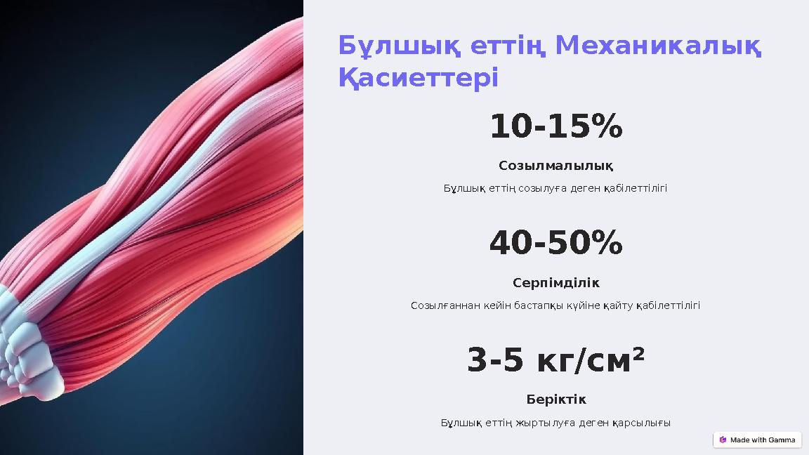 Бұлшық еттің Механикалық Қасиеттері 10-15% Созылмалылық Бұлшық еттің созылуға деген қабілеттілігі 40-50% Серпімділік Созылғанна