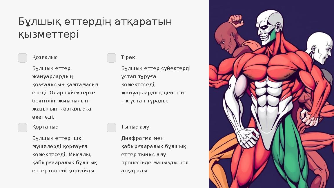 Бұлшық еттердің атқаратын қызметтері Қозғалыс Бұлшық еттер жануарлардың қозғалысын қамтамасыз етеді. Олар сүйектерге бекіті