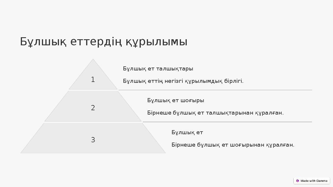 Бұлшық еттердің құрылымы 1 Бұлшық ет талшықтары Бұлшық еттің негізгі құрылымдық бірлігі. 2 Бұлшық ет шоғыры Бірнеше бұлшық ет та