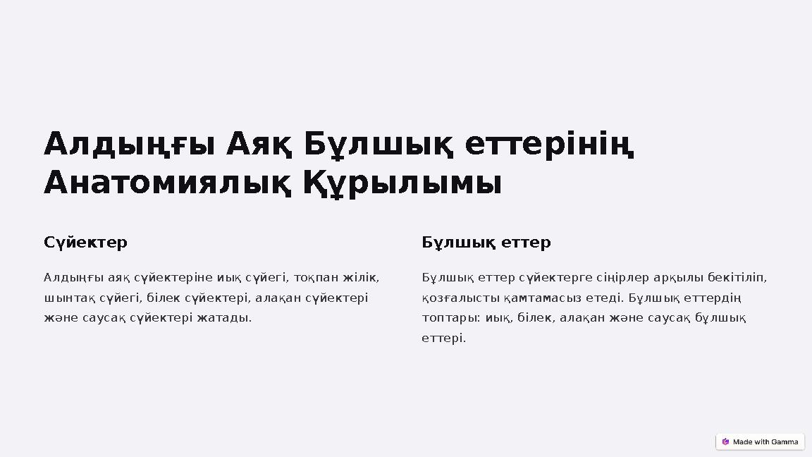 Алдыңғы Аяқ Бұлшық еттерінің Анатомиялық Құрылымы Сүйектер Алдыңғы аяқ сүйектеріне иық сүйегі, тоқпан жілік, шынтақ сүйегі, бі