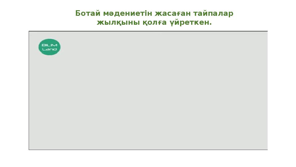 Ботай мәдениетін жасаған тайпалар жылқыны қолға үйреткен.