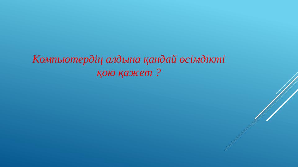 Компьютердің алдына қандай өсімдікті қою қажет ?
