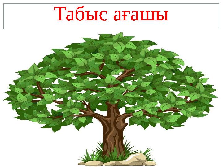 Табыс ағашы