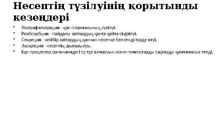 Несептің түзілуінің қорытынды кезеңдері •Ультрафильтрация - қан плазмасының сүзілуі. •Реабсорбция - пайдалы заттардың қанға қай