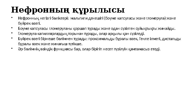 Нефронның құрылысы •Нефронның негізгі бөліктері: мальпиги денешігі (боуме капсуласы және гломерула) және бүйрек өзегі. •Боуме