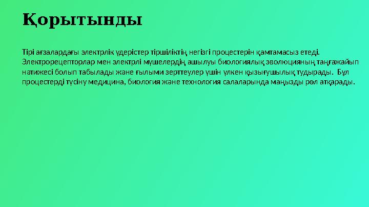 Қорытынды Тірі ағзалардағы электрлік үдерістер тіршіліктің негізгі процестерін қамтамасыз етеді. Электрорецепторлар мен электрл