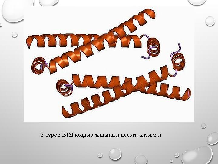 3-сурет. ВГД қоздырғышының дельта-антигені