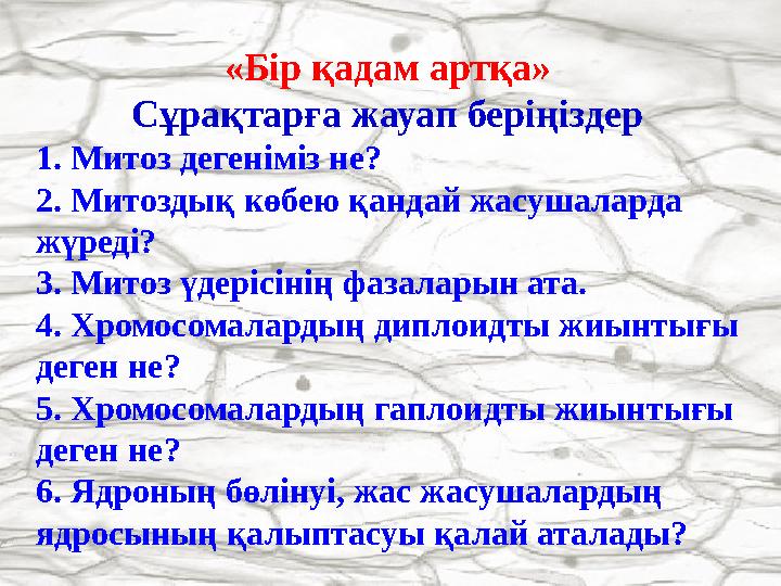 «Бір қадам артқа» Сұрақтарға жауап беріңіздер 1. Митоз дегеніміз не? 2. Митоздық көбею қандай жасушаларда жүреді? 3. Митоз үд