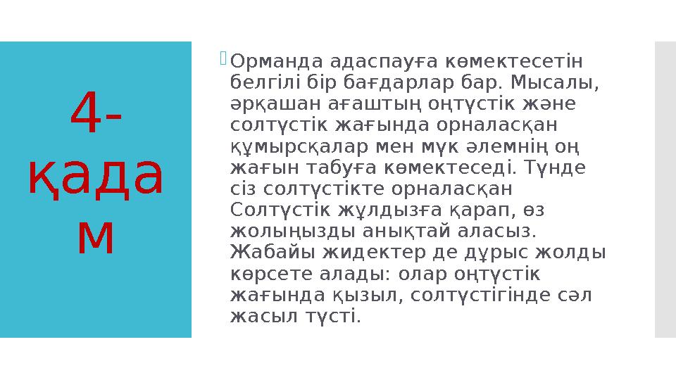 4- қада м Орманда адаспауға көмектесетін белгілі бір бағдарлар бар. Мысалы, әрқашан ағаштың оңтүстік және солтүстік жағында