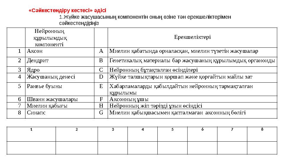 Нейронның құрылымдық компоненті Ерекшеліктері 1Аксон AМиелин қабатында орналасқан, миелин түзетін жасушалар 2Дендрит BГен