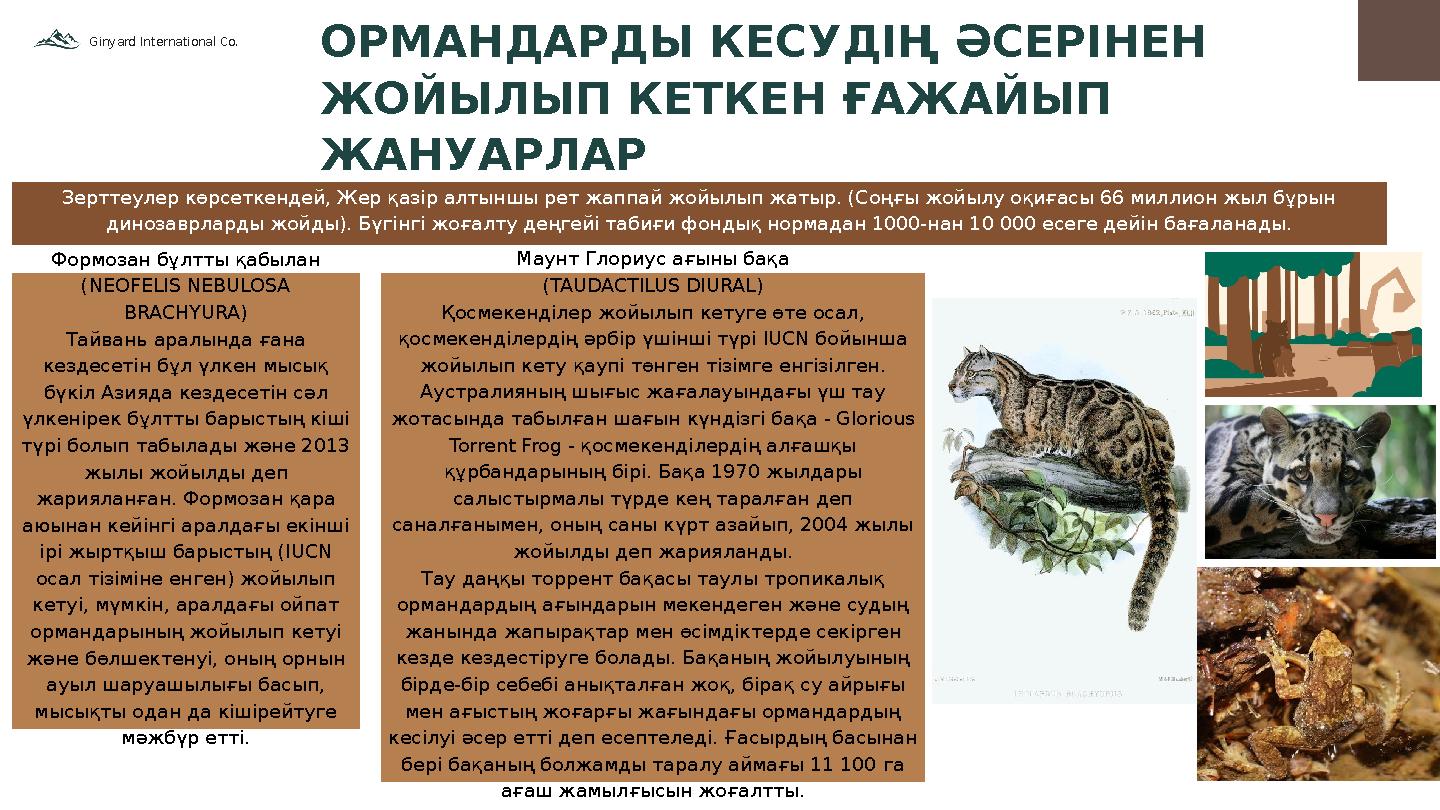 Зерттеулер көрсеткендей, Жер қазір алтыншы рет жаппай жойылып жатыр. (Соңғы жойылу оқиғасы 66 миллион жыл бұрын динозаврларды ж