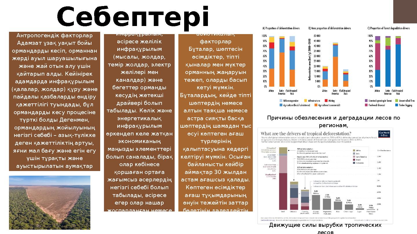 Антропогендік факторлар Адамзат ұзақ уақыт бойы ормандарды кесіп, орманнан жерді ауыл шаруашылығына және жай отын алу үшін қ