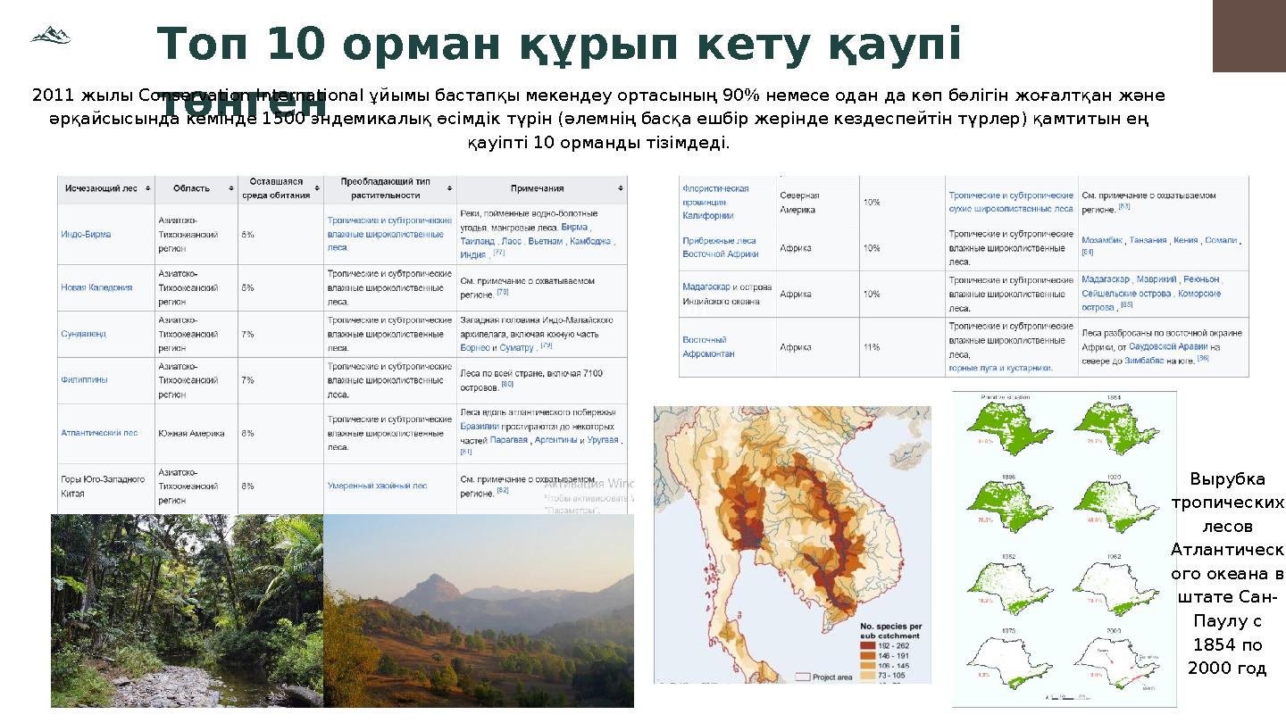 Топ 10 орман құрып кету қаупі төнген 01 2011 жылы Conservation International ұйымы бастапқы мекендеу ортасының 90% немесе одан