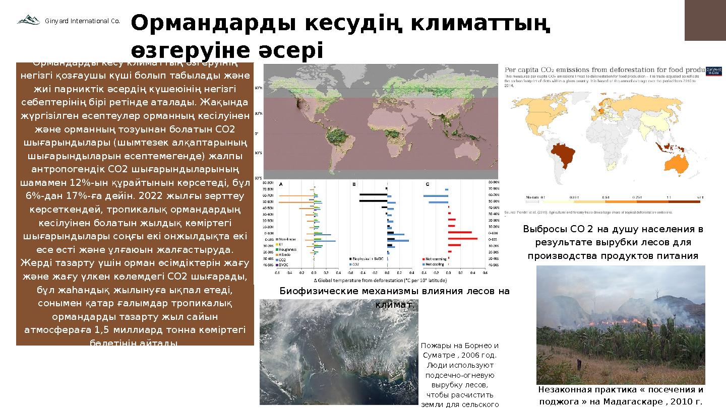 Ормандарды кесу климаттың өзгеруінің негізгі қозғаушы күші болып табылады және жиі парниктік әсердің күшеюінің негізгі себепт