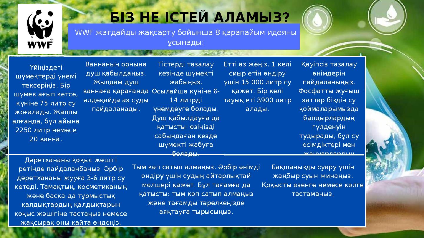 Қауіпсіз тазалау өнімдерін пайдаланыңыз. Фосфатты жуғыш заттар біздің су қоймаларымызда балдырлардың гүлденуін тудырады,