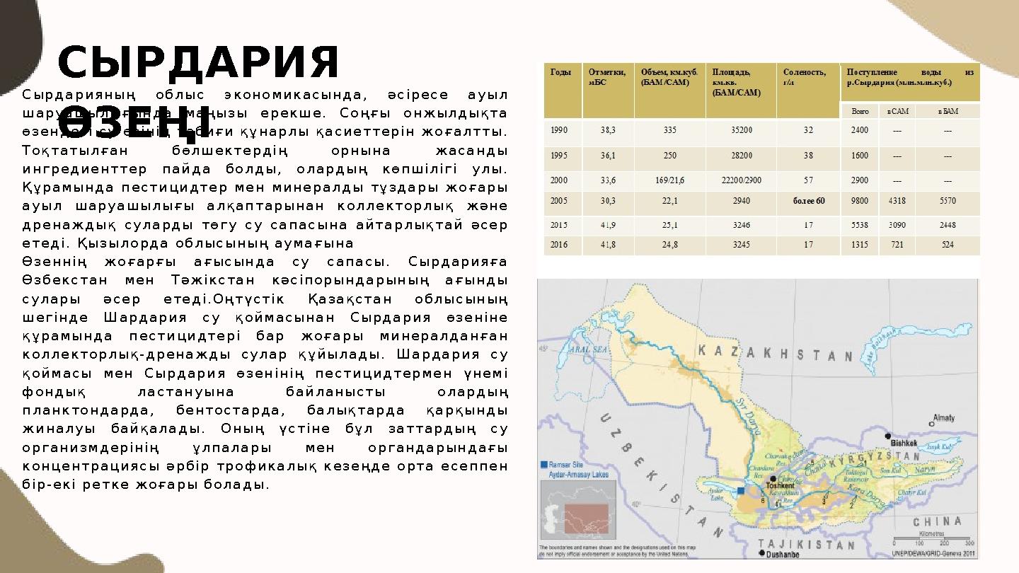 Сырдарияның облыс экономикасында, әсіресе ауыл шаруашылығында маңызы ерекше. Соңғы онжылдықта өзендегі су өзінің табиғи құнарл