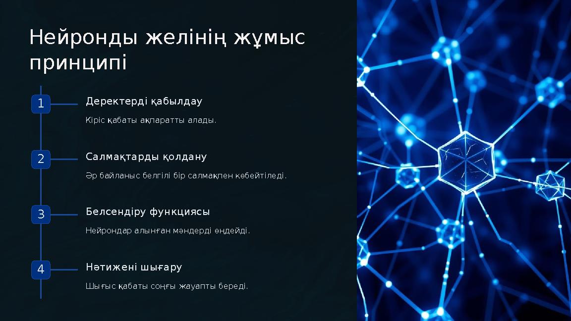 Нейронды желінің жұмыс принципі 1 Деректерді қабылдау Кіріс қабаты ақпаратты алады. 2 Салмақтарды қолдану Әр байланыс белгілі