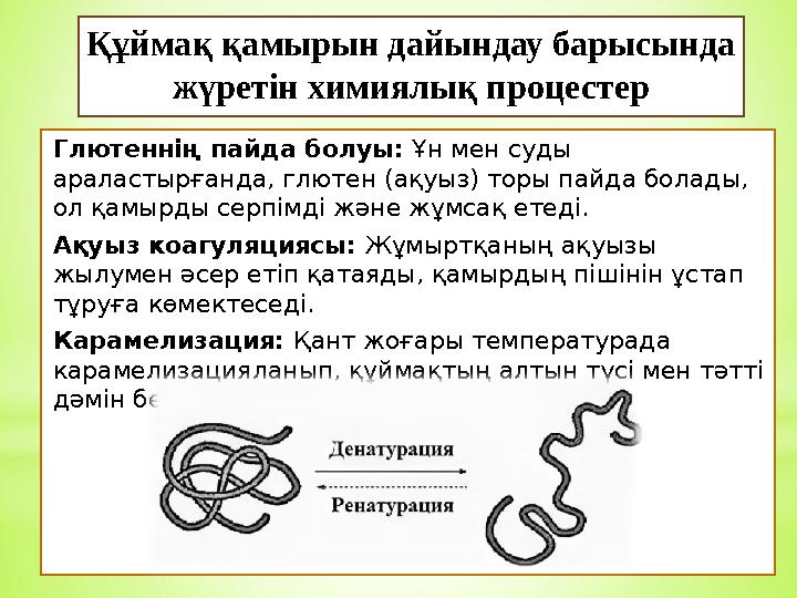 Құймақ қамырын дайындау барысында жүретін химиялық процестер Глютеннің пайда болуы: Ұн мен суды араластырғанда, глютен (ақуыз)