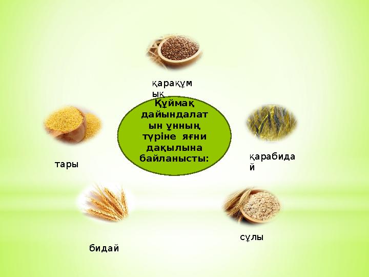 Құймақ дайындалат ын ұнның түріне яғни дақылына байланысты: бидай тары қарақұм ық сұлы қарабида й