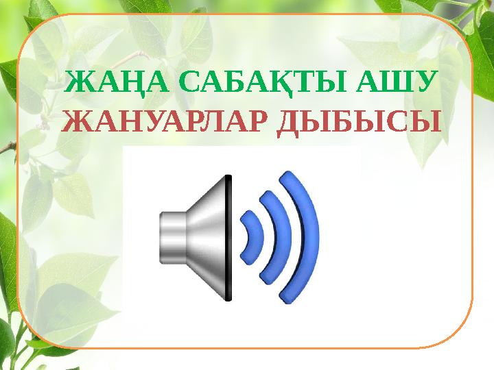 ЖАҢА САБАҚТЫ АШУ ЖАНУАРЛАР ДЫБЫСЫ