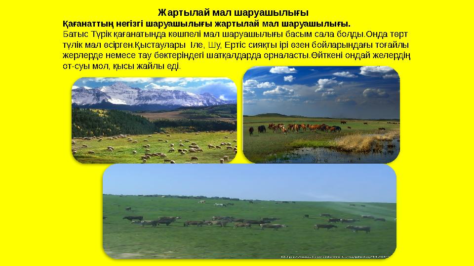 Жартылай мал шаруашылығы Қағанаттың негізгі шаруашылығы жартылай мал шаруашылығы. Батыс