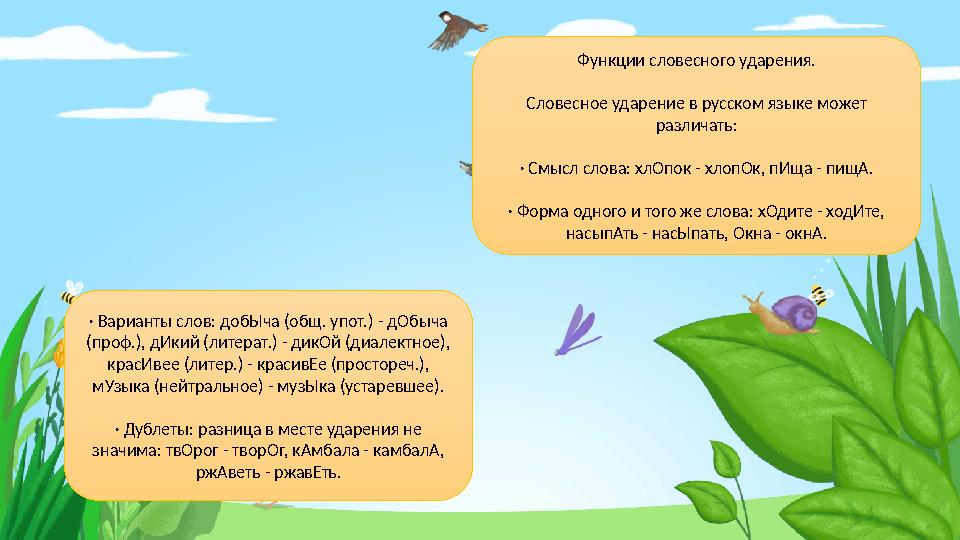 Функции словесного ударения. Словесное ударение в русском языке может различать: · Смысл слова: хлОпок - хлопОк, пИща - пищА. ·