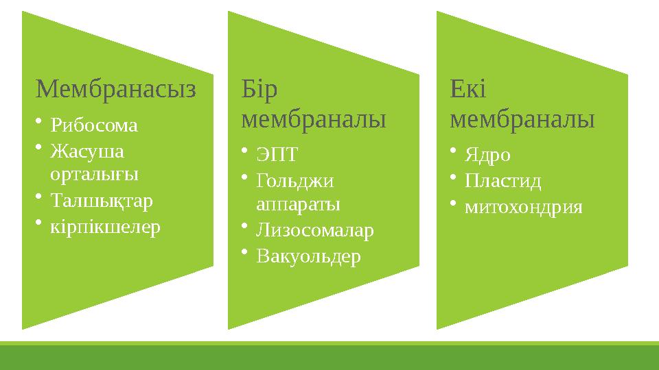 Мембранасыз •Рибосома •Жасуша орталығы •Талшықтар •кірпікшелер Бір мембраналы •ЭПТ •Гольджи аппараты •Лизосомалар •Вакуольде