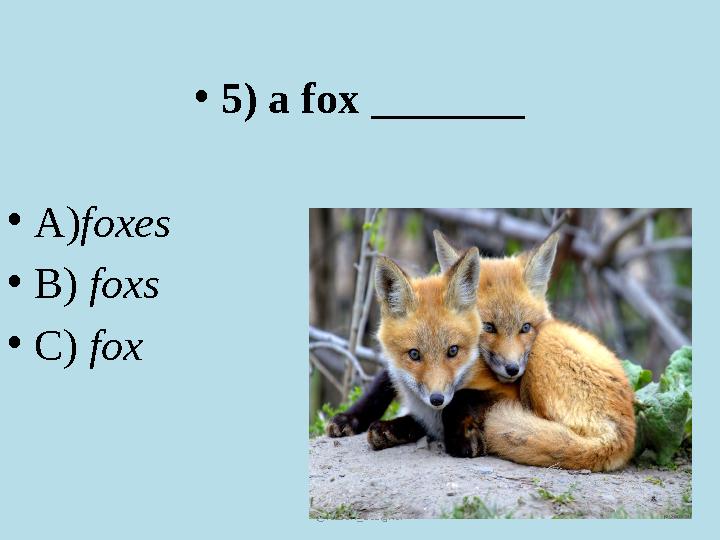 @lesson_designer •5) a fox _______ •А)foxes •В) foxs •C) fox