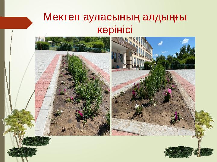 Мектеп ауласының алдыңғы көрінісі