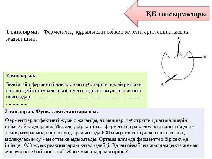 ҚБ тапсырмалары 1 тапсырма. Ферменттің құрылысын сәйкес келетін әріптердің тұсына жазып шық. 2 тапсырма. Белгілі бір ферме