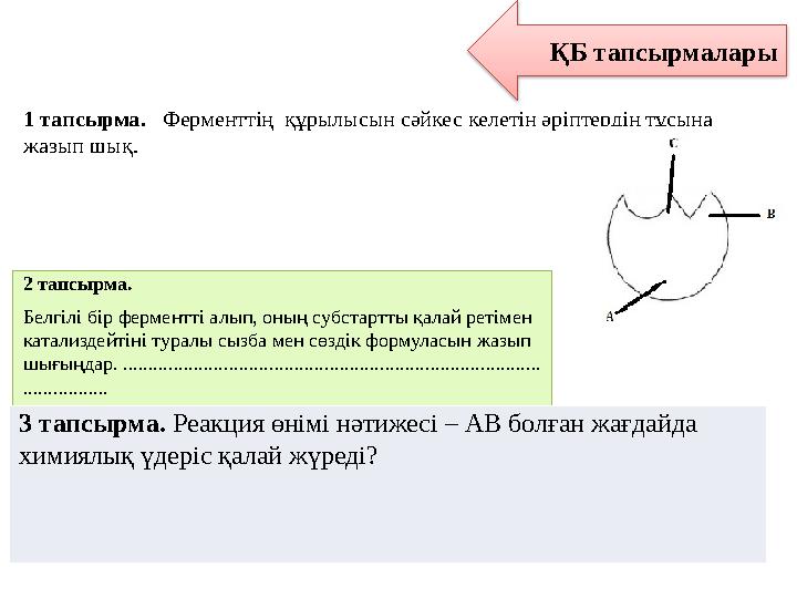 ҚБ тапсырмалары 1 тапсырма. Ферменттің құрылысын сәйкес келетін әріптердің тұсына жазып шық. 2 тапсырма. Белгілі бір ферме