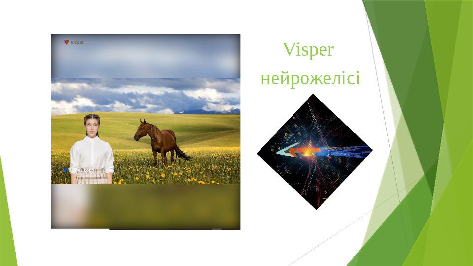 Visper нейрожелісі