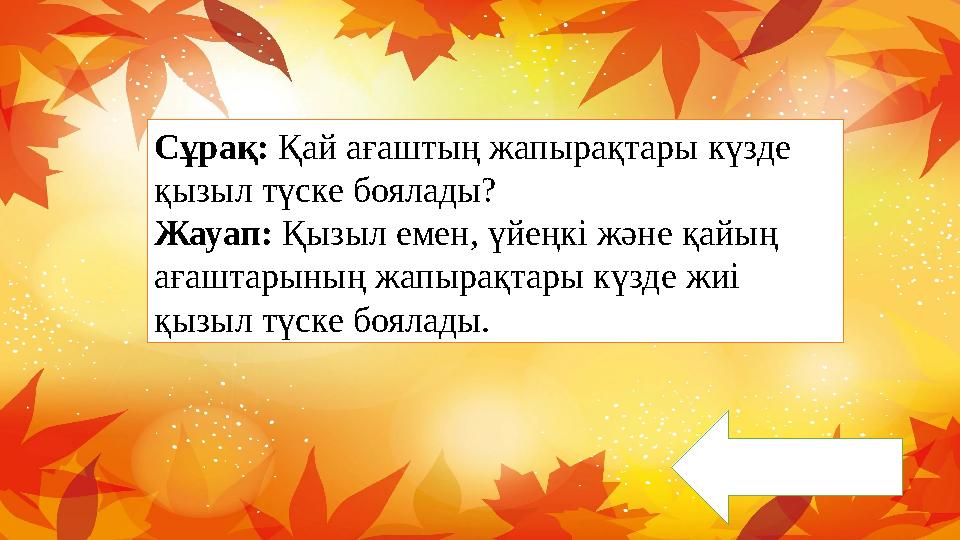 Сұрақ: Қай ағаштың жапырақтары күзде қызыл түске боялады? Жауап: Қызыл емен, үйеңкі және қайың ағаштарының жапырақтары күзде ж