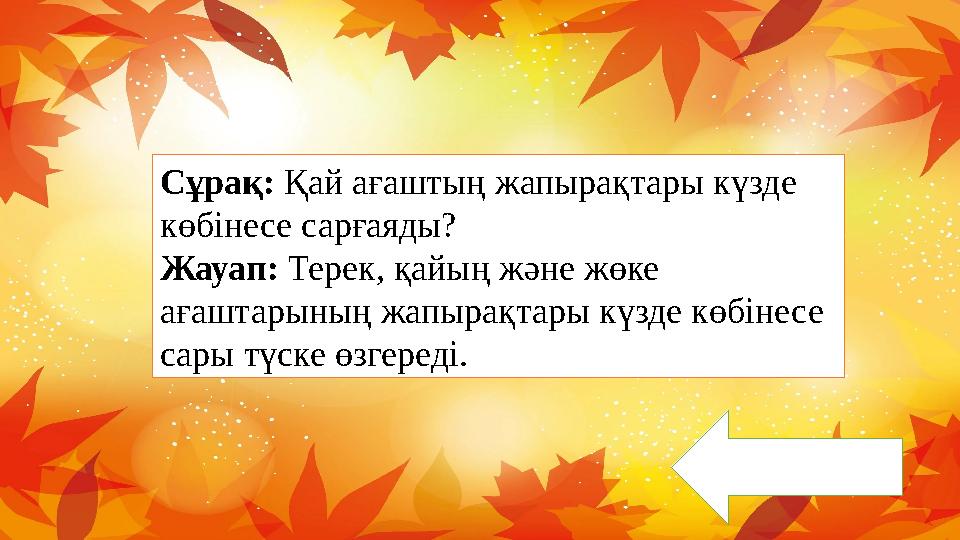 Сұрақ: Қай ағаштың жапырақтары күзде көбінесе сарғаяды? Жауап: Терек, қайың және жөке ағаштарының жапырақтары күзде көбінесе