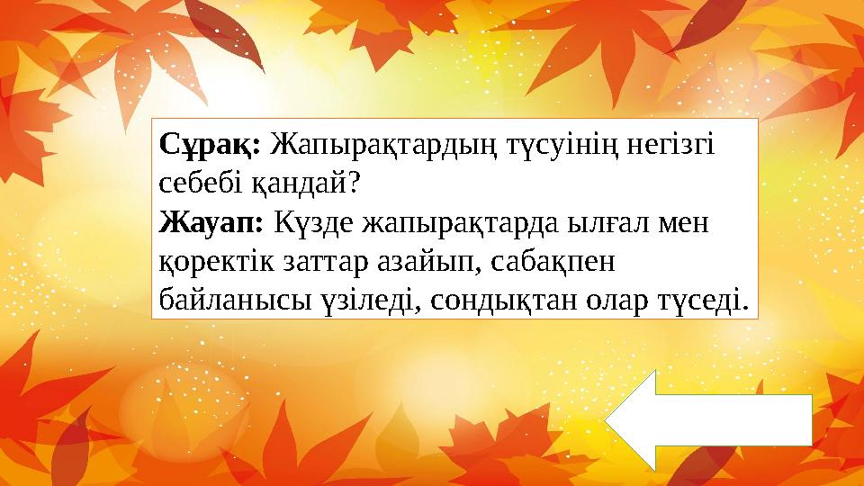 Сұрақ: Жапырақтардың түсуінің негізгі себебі қандай? Жауап: Күзде жапырақтарда ылғал мен қоректік заттар азайып, сабақпен бай