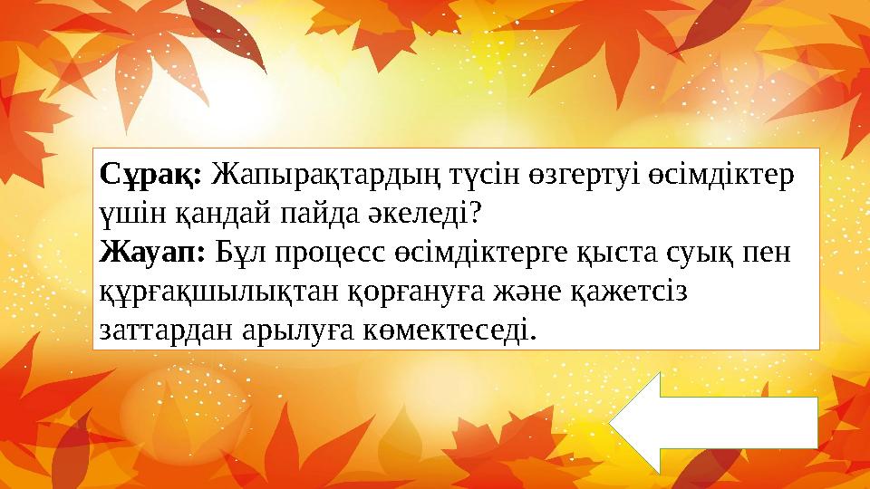 Сұрақ: Жапырақтардың түсін өзгертуі өсімдіктер үшін қандай пайда әкеледі? Жауап: Бұл процесс өсімдіктерге қыста суық пен құрға