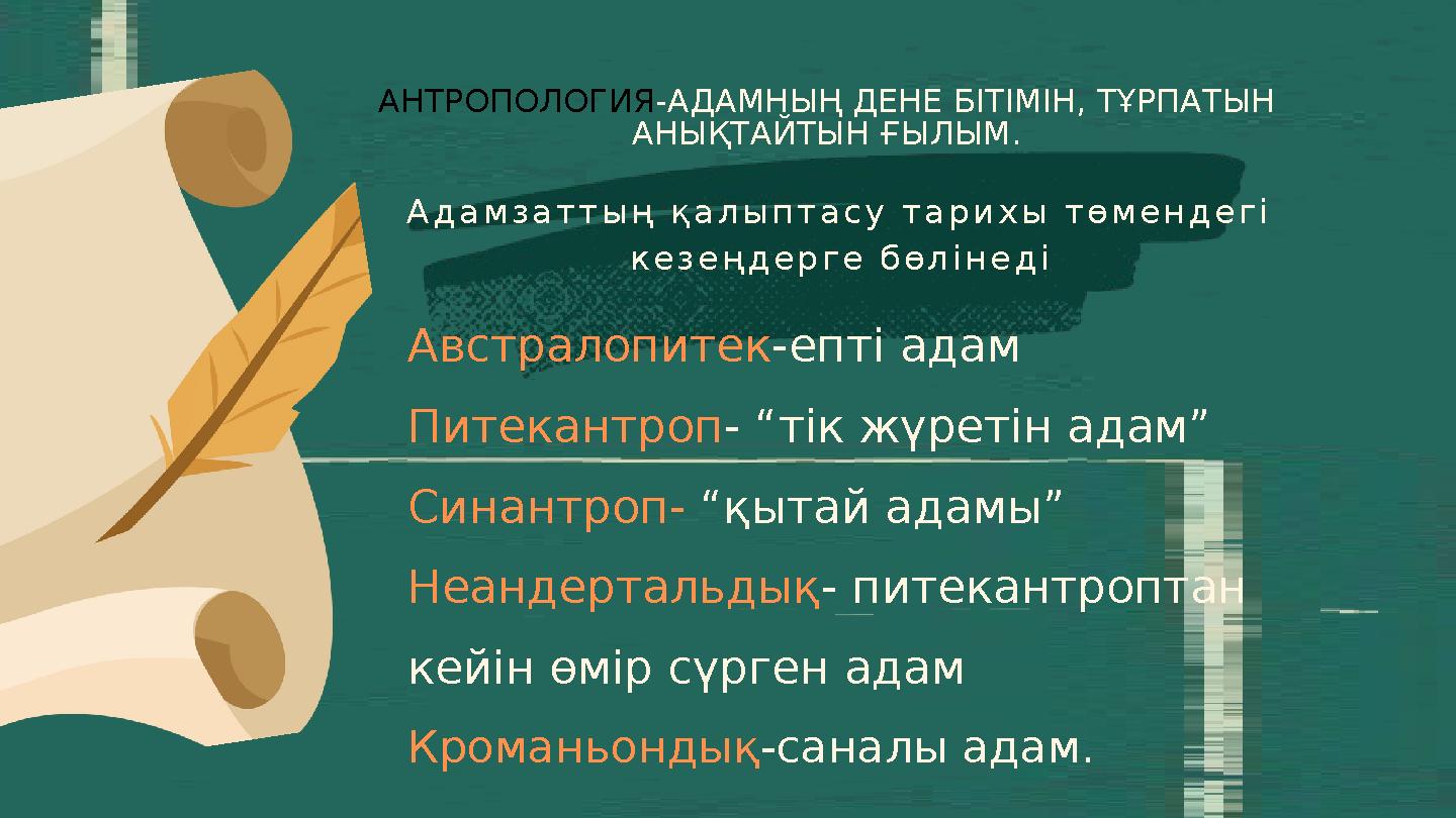 Адамзаттың қалыптасу тарихы төмендегі кезеңдерге бөлінеді АНТРОПОЛОГИЯ -АДАМНЫҢ ДЕНЕ БІТІМІН, ТҰРПАТЫН АНЫҚТАЙТЫН ҒЫЛЫМ. Австр