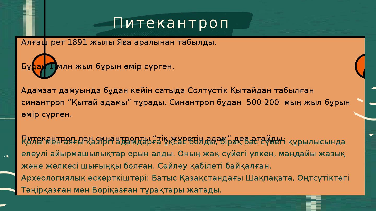 Алғаш рет 1891 жылы Ява аралынан табылды. Бұдан 1 млн жыл бұрын өмір сүрген. Адамзат дамуында бұдан кейін сатыда Солтүстік Қытай