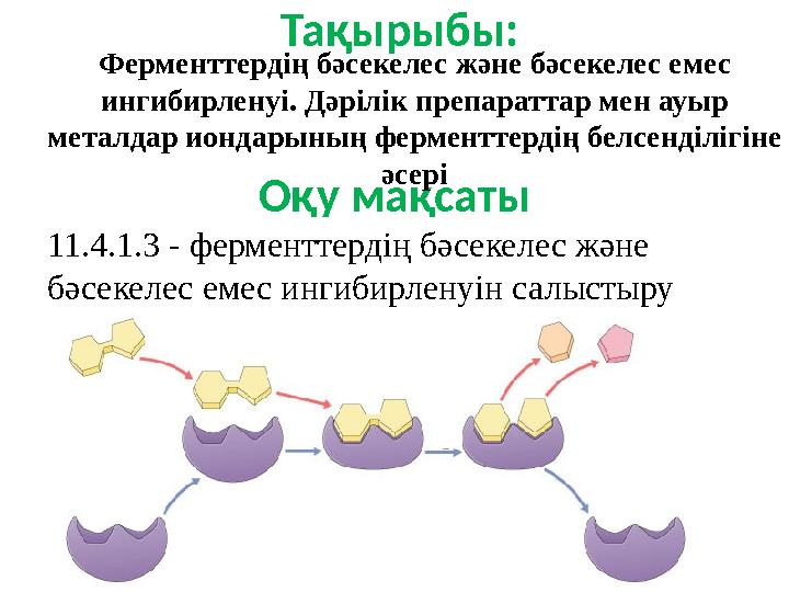 Оқу мақсаты 11.4.1.3 - ферменттердің бәсекелес және бәсекелес емес ингибирленуін салыстыру Тақырыбы: Ферменттердің бәсекелес ж