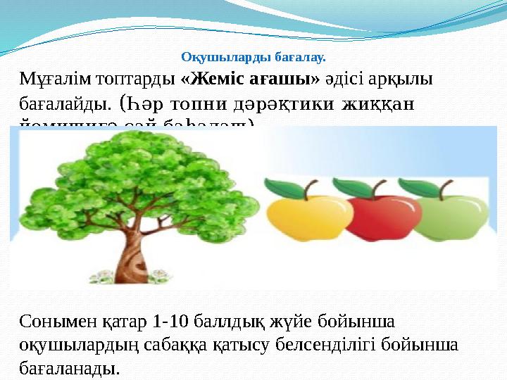 Оқушыларды бағалау. Мұғалім топтарды «Жеміс ағашы» әдісі арқылы бағалайды. (Һәр топни дәрәқтики жиққан йемишигә сай баһалаш) С