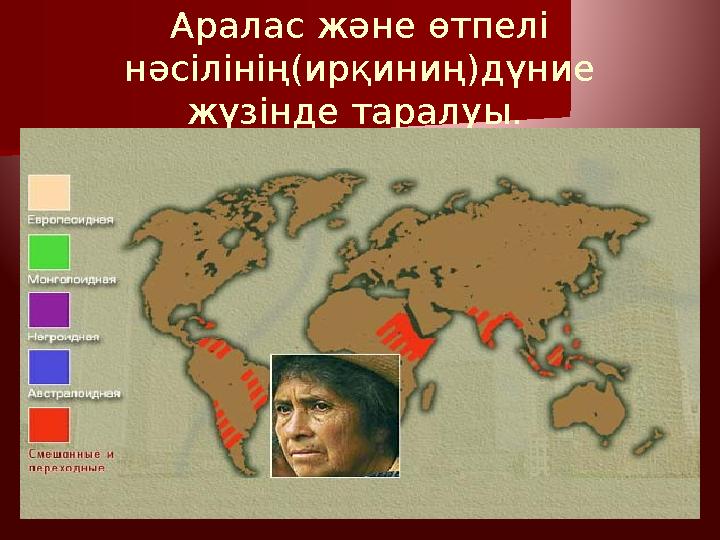 Аралас және өтпелі нәсілінің(ирқиниң)дүние жүзінде таралуы.