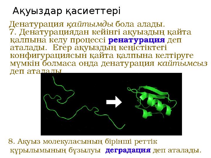 Ақуыздар қасиеттері Денатурация қайтымды бола алады. 7. Денатурациядан кейінгі ақуыздың қайта қалпына келу процессі ренатурация