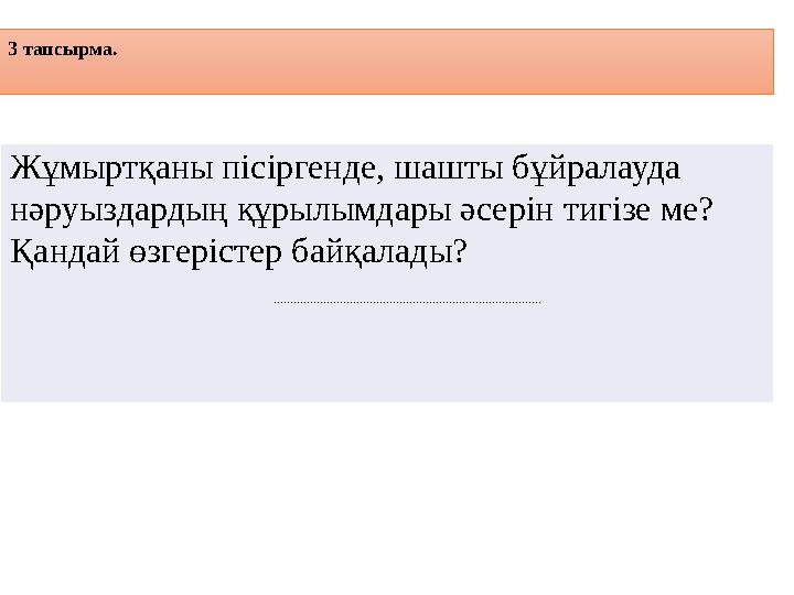 3 тапсырма. Жұмыртқаны пісіргенде, шашты бұйралауда нәруыздардың құрылымдары әсерін тигізе ме? Қандай өзгерістер байқалады? .