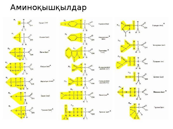 Аминоқышқылдар