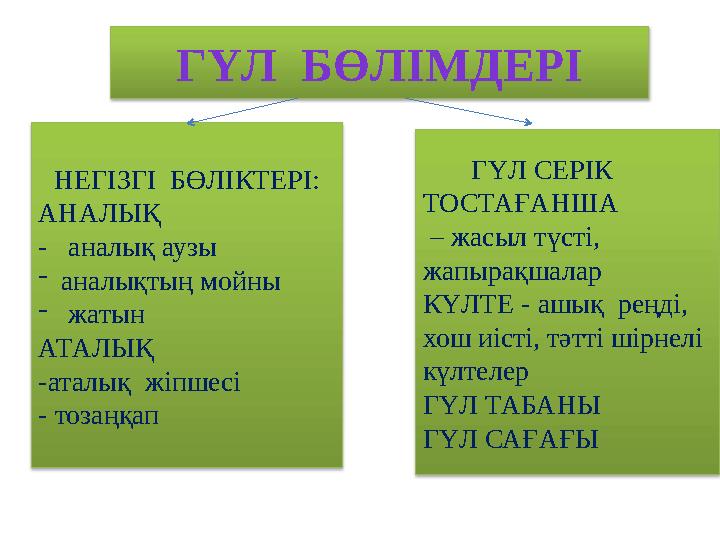 ГҮЛ БӨЛІМДЕРІ НЕГІЗГІ БӨЛІКТЕРІ: АНАЛЫҚ - аналық аузы -аналықтың мойны - жатын АТАЛЫҚ -аталық жіпшесі - тозаңқап