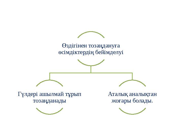 Өздігінен тозаңдануға өсімдіктердің бейімделуі Гүлдері ашылмай тұрып тозаңданады Аталық аналықтан жоғары болады.