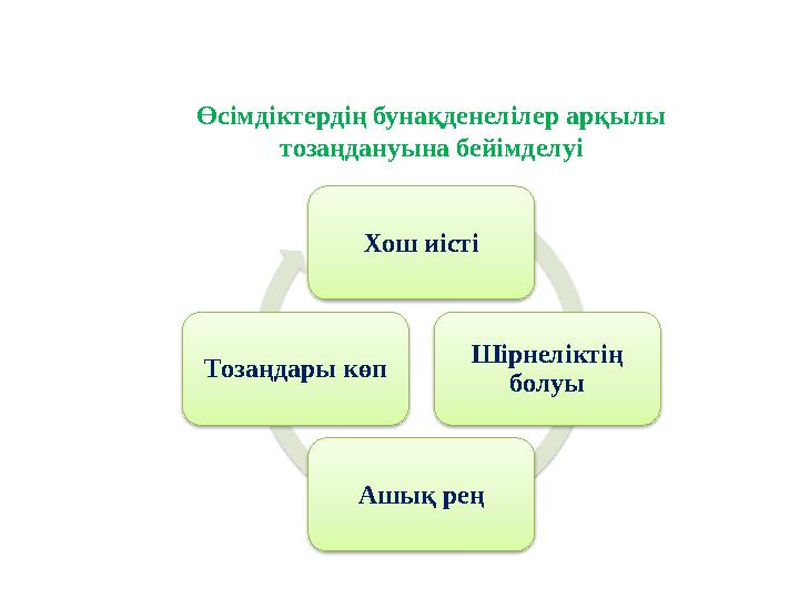 Өсімдіктердің бунақденелілер арқылы тозаңдануына бейімделуі Хош иісті Шірнеліктің болуы Ашық рең Тозаңдары көп