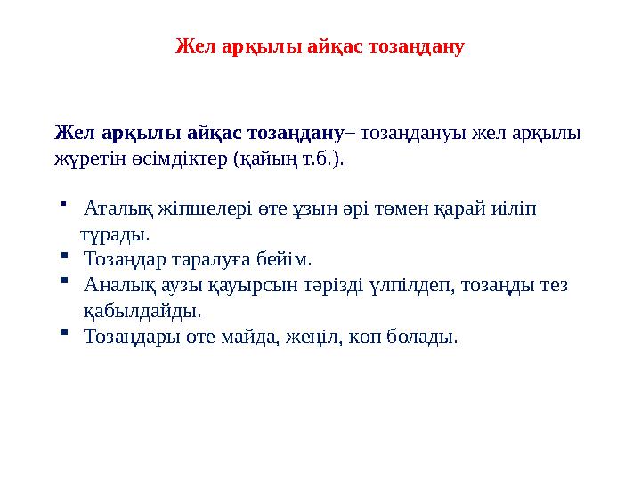 Жел арқылы айқас тозаңдану– тозаңдануы жел арқылы жүретін өсімдіктер (қайың т.б.). Жел арқылы айқас тозаңдану  Аталық жіпшеле