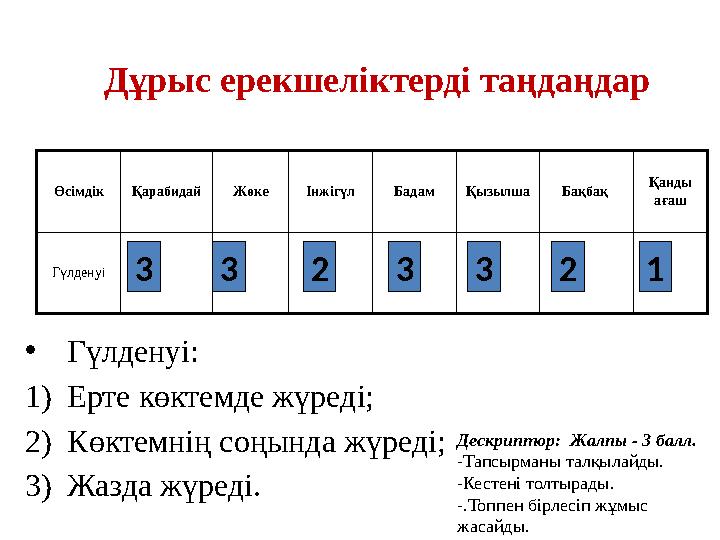 Дұрыс ерекшеліктерді таңдаңдар Өсімдік Қарабидай Жөке Інжігүл Бадам Қызылша Бақбақ Қанды ағаш Гүлденуі •Гүлденуі: 1)Ерте көктем