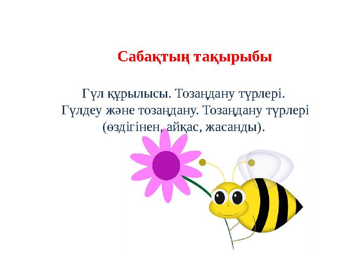 Гүл құрылысы. Тозаңдану түрлері. Гүлдеу және тозаңдану. Тозаңдану түрлері (өздігінен, айқас, жасанды). Сабақтың тақырыбы